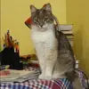 Отзыв от Мария Ильинская
